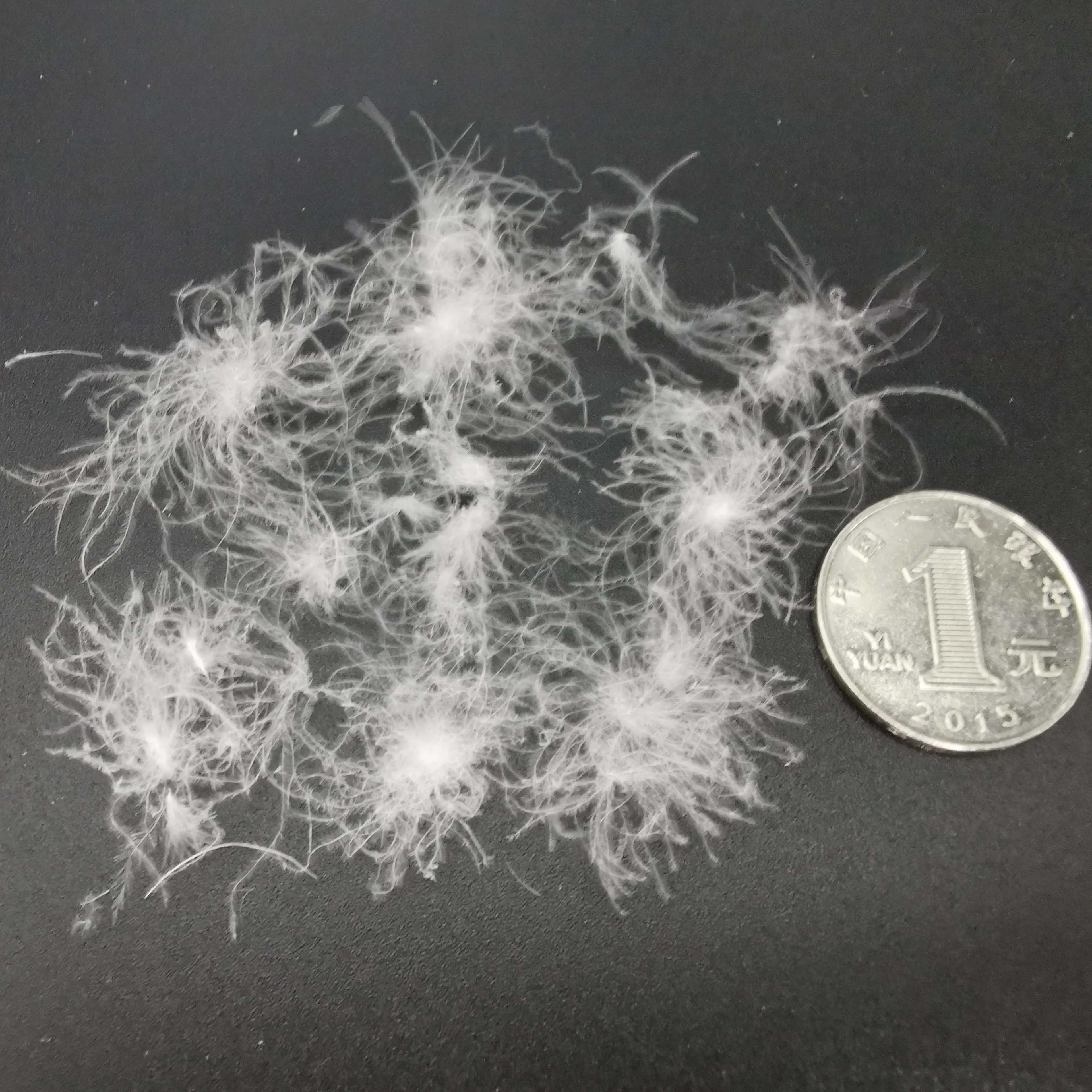 
95% washed pure white big cluster duck down with high filling power American standard 