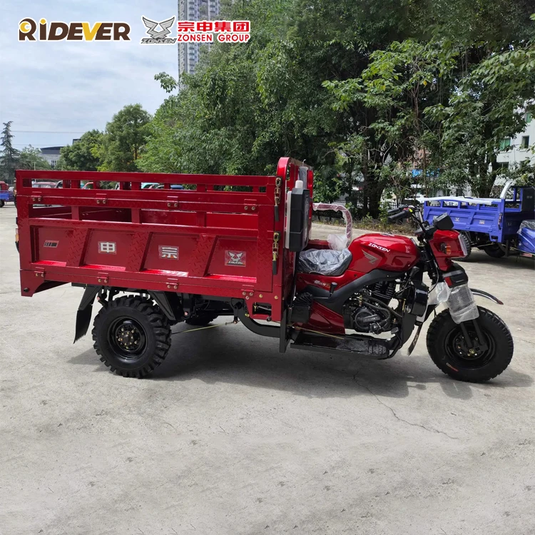 Бензиновый большой мощности оптовая продажа новинка Yanlong CQ3 SIVS 200cc 250cc 300cc грузовой трехколесный мотоцикл