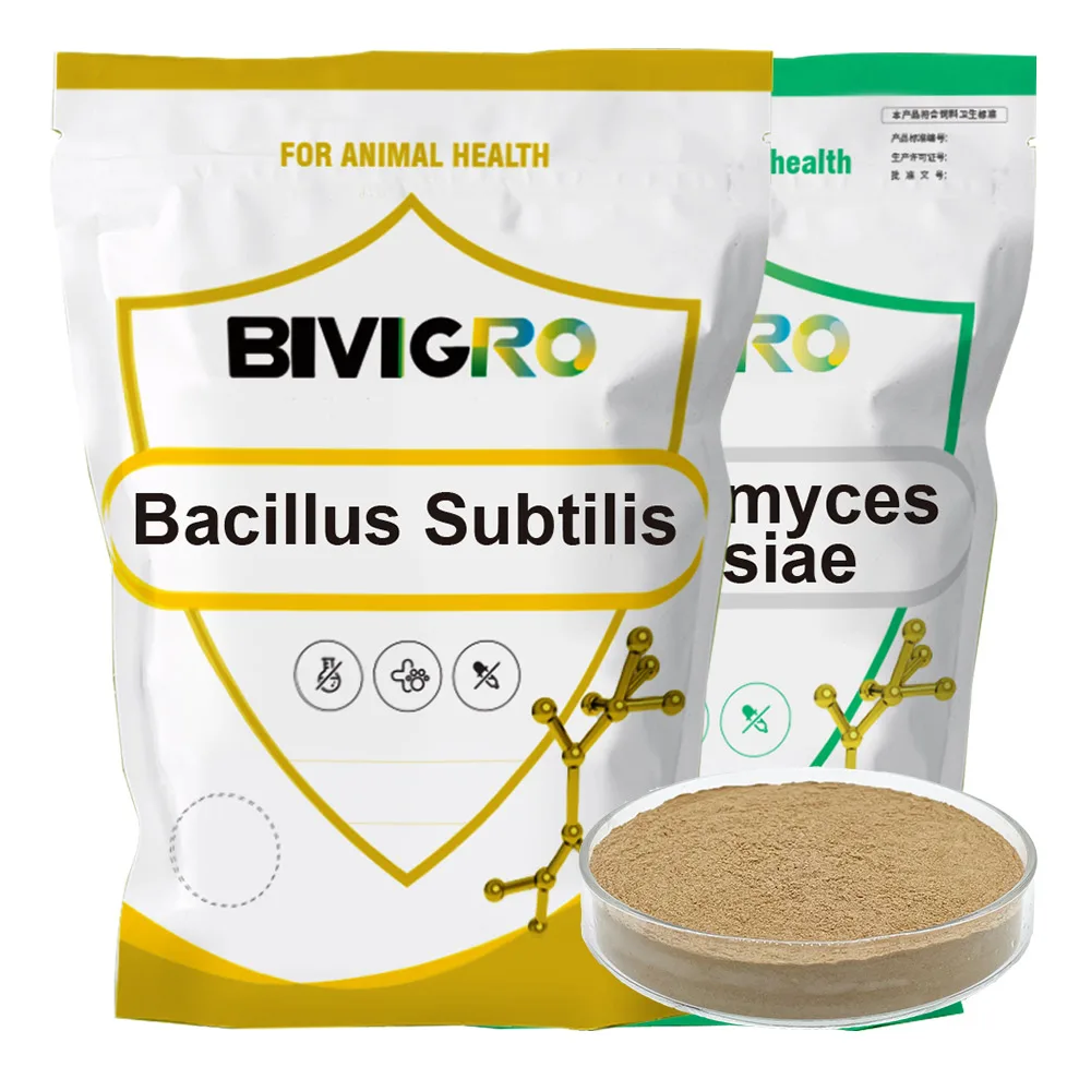 Shrimp Fish Pond Bacillus Subtilis For Clean Pond Water Treatment Biological Bacteria