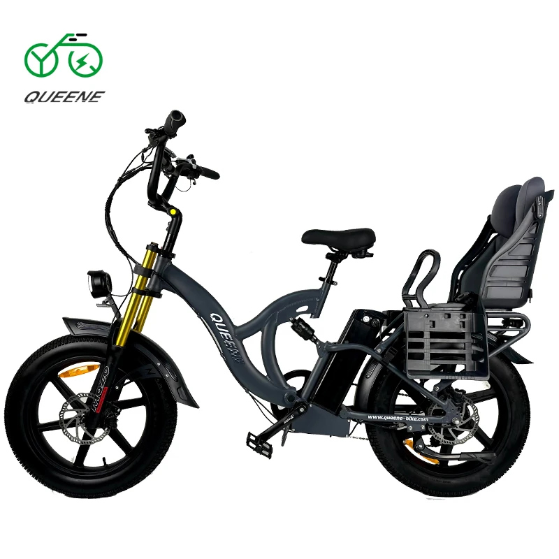 QUEENE/Free Shipping warehouse 20inch 48v 15ah lithium battery Mountain E Bike with 750W 1000W motor for Adult bike electric