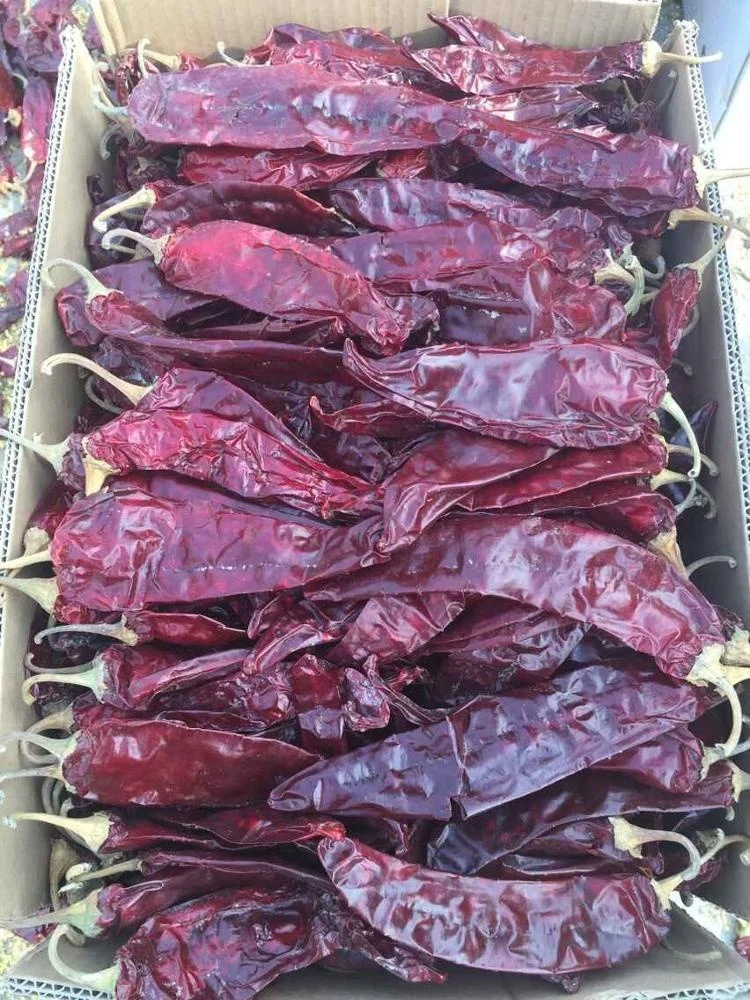 Super paprika whole pods selceted and washed table paprika/sweet chilli