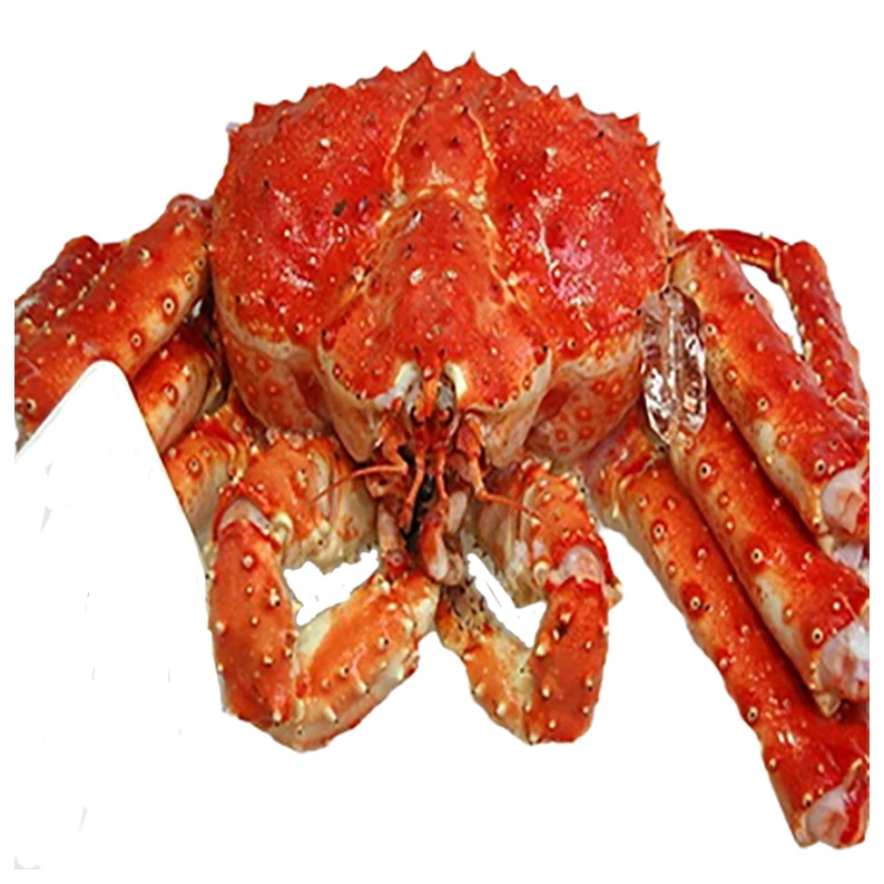 Nutrition Seafood Fresh Alaskan Buy Russian Live Red Norwegian Legs Blue Swimming Quality Frozen King Crab For Sale