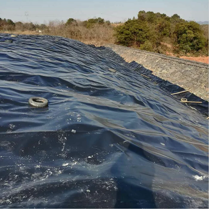 
Cost Effective Bottom Drain With Air Didfuser for liner pond For Sale Approved By ASTM 