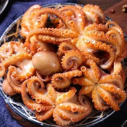 Best Frozen Indonesia Baby Octopus