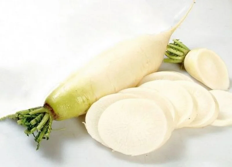 Wholesale price daikon radish vegetable store for supermarket