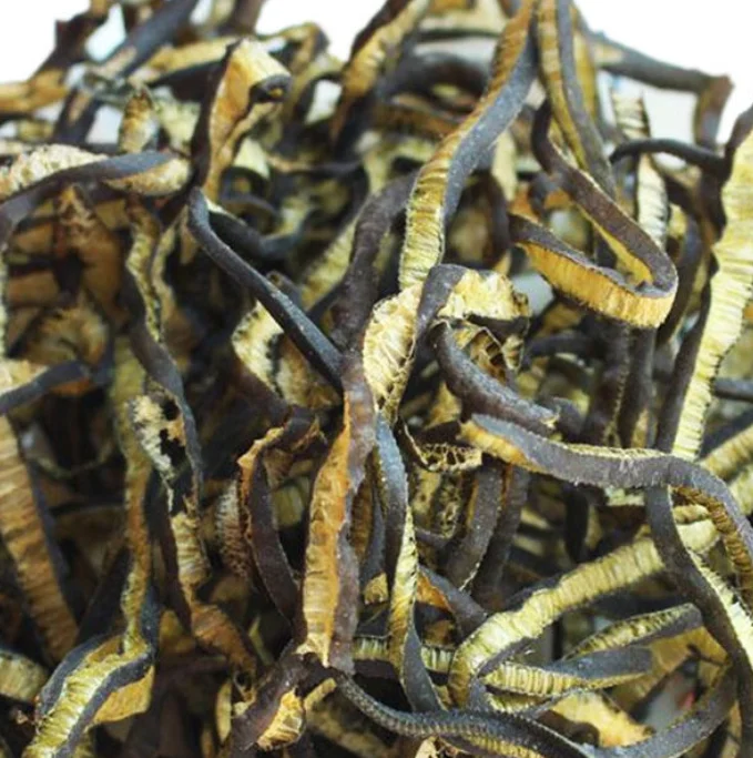 Natural sea raw dried sliced Durvillaea antarctica stems for dishes