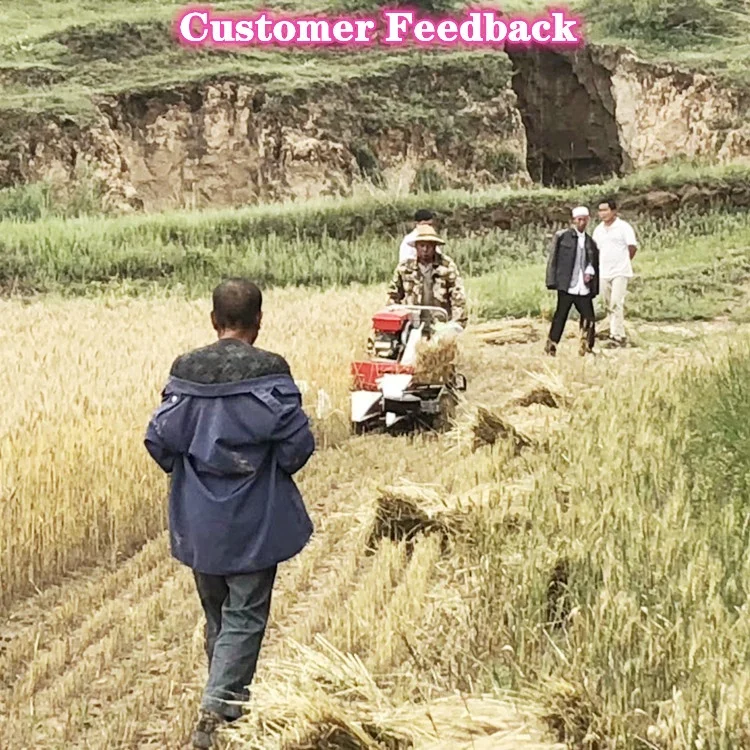 Hot Sale Small Grain Harvester/mini Rice Reaper with Diesel Engine Power/farm Reaper Binder Machine Wheat Cutting Machine 3 Rows