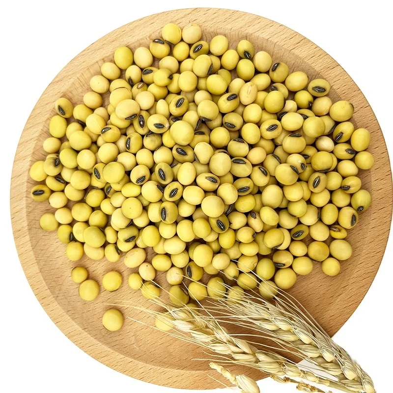 Non-GMO High Grade Good Quality Soy Beans Raw Soybean Grain Organic Bulk Soybean Seeds For Food