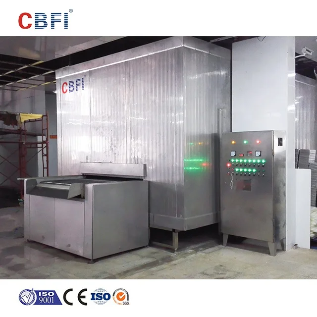 Mango/vegetable/strawberry/potato Iqf Blast Tunnel Freezer Machine