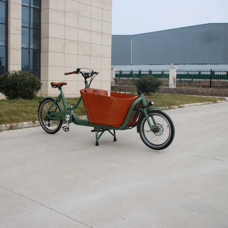 Electric Cargo Bikes 2 wheels cargo bike electric ebike e-cargo family e bicycle Cargo Bafang M600 M620  Motor