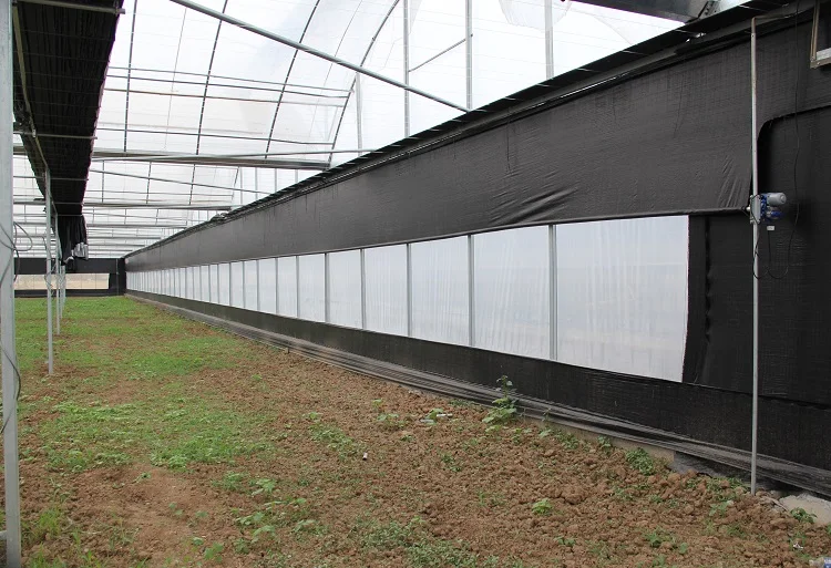10000m2 сельскохозяйственная/Коммерческая/многопролетная пленка/Po/PE/пластиковый зеленый дом для помидоров/клубника с гидропонной системой