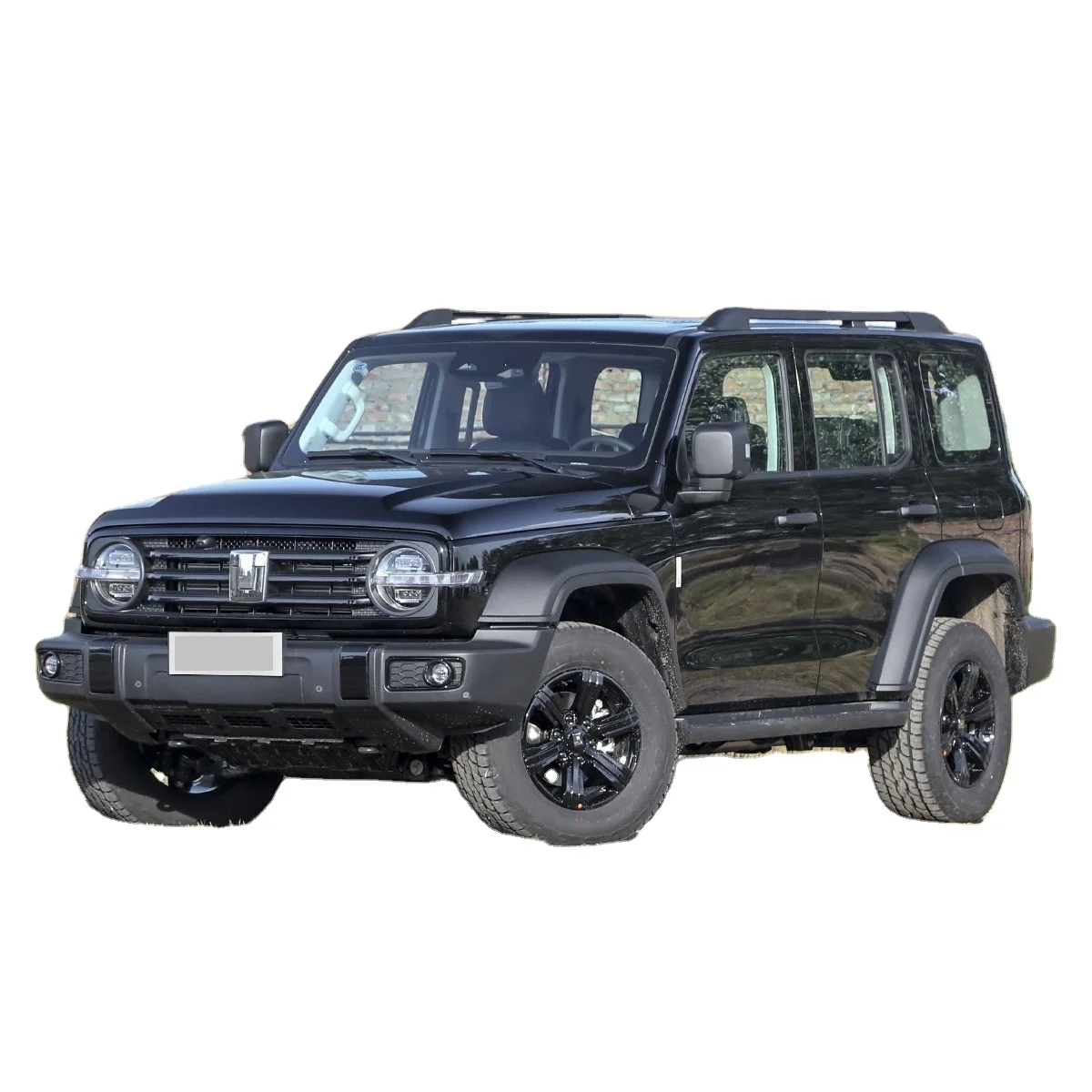 2022 TANK 300 SUV 2 0 T 2023 внедорожник высокого качества по низкой цене для взрослых