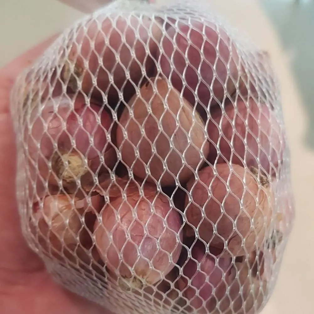 
AD Organic Export chinese thai indian Red onion fresh red shallot with best prices ads Agriculture Thai farm High Quality 