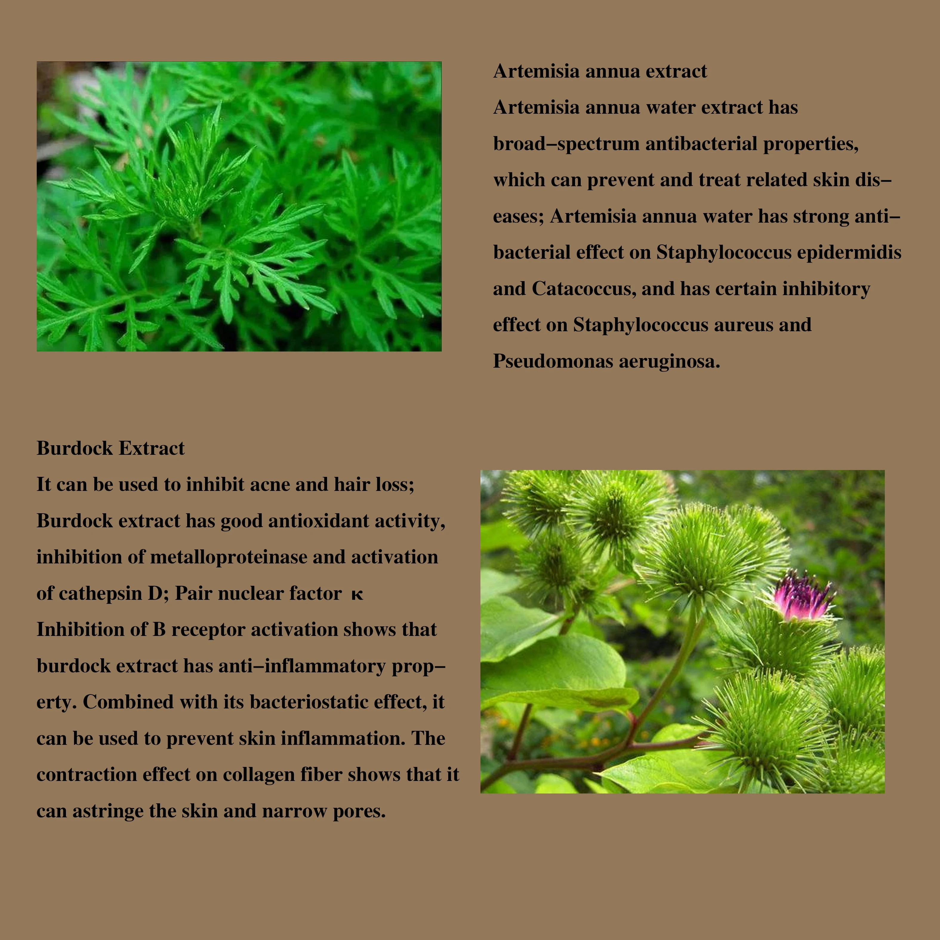 Facial  Massage Moisturizer Machine Clinical Skin Care Treatment Centella Repair Face Cream