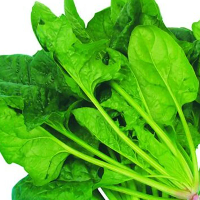 Manufacturers hot selling natural spinach fruit powder spinach  fruit juice powder