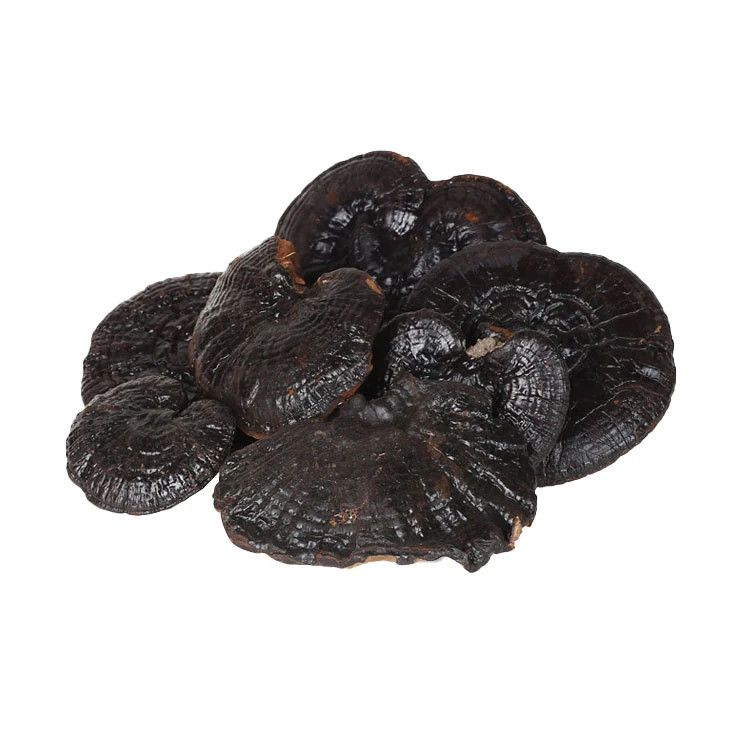 Оптовая продажа сушеные Ganoderma Lucidum поставщик/Органические