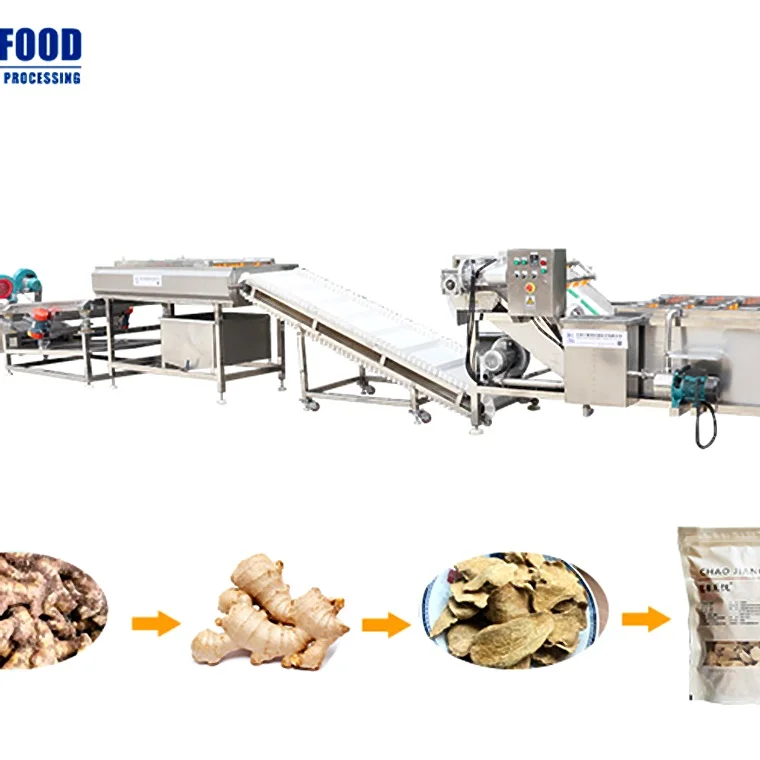 Industrial Vegetable Production Machine Line Spinach Onion Potato Okra Leafy Washing Drying Vegetable Processing Line