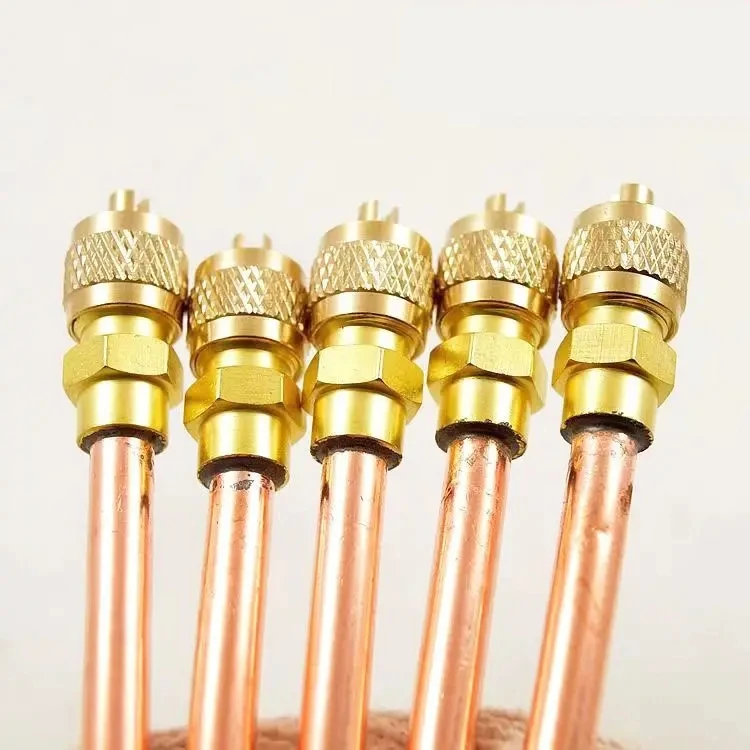 Air conditioning check valve fluorine nozzle liquid nozzle needle valve fluorine quick connector copper check valve