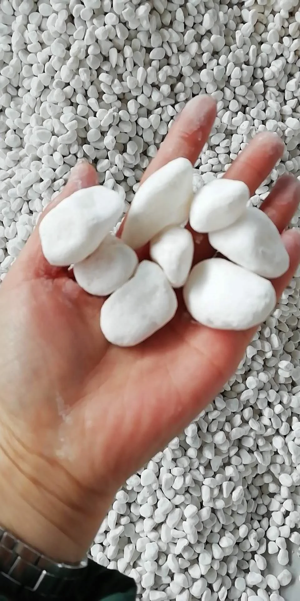 Decorative Landscaping White Marble Pebble Stone