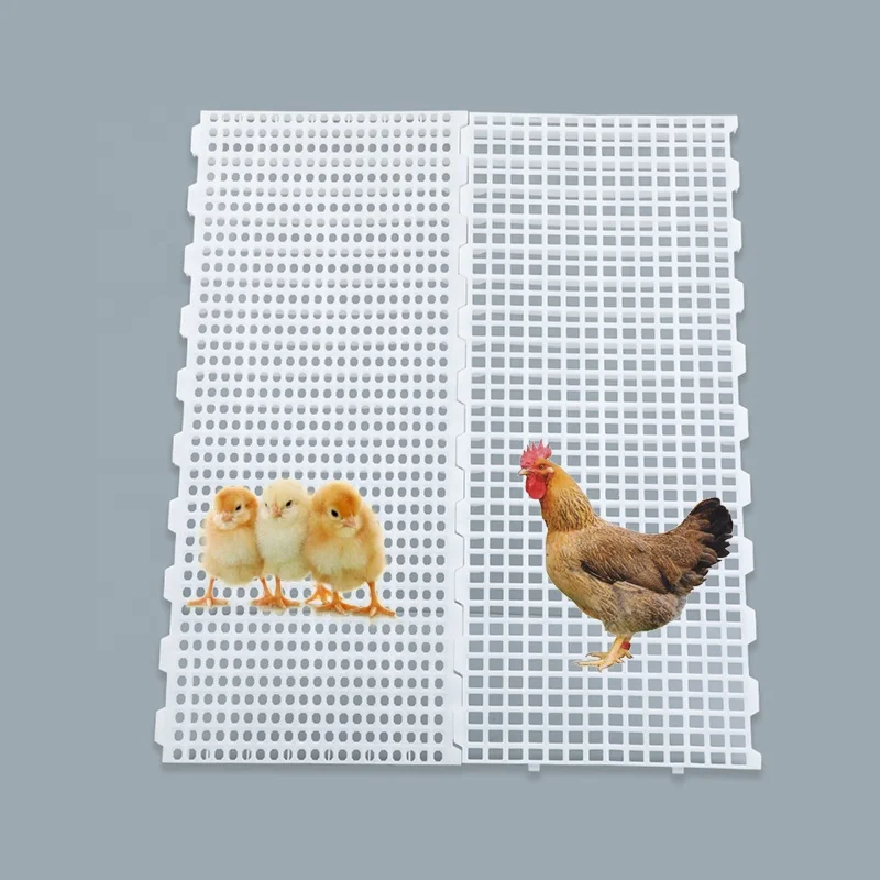Extremely hygienic 1200*500 mm  Non-rotting broiler farm plastic chicken slats floor for poultry farm
