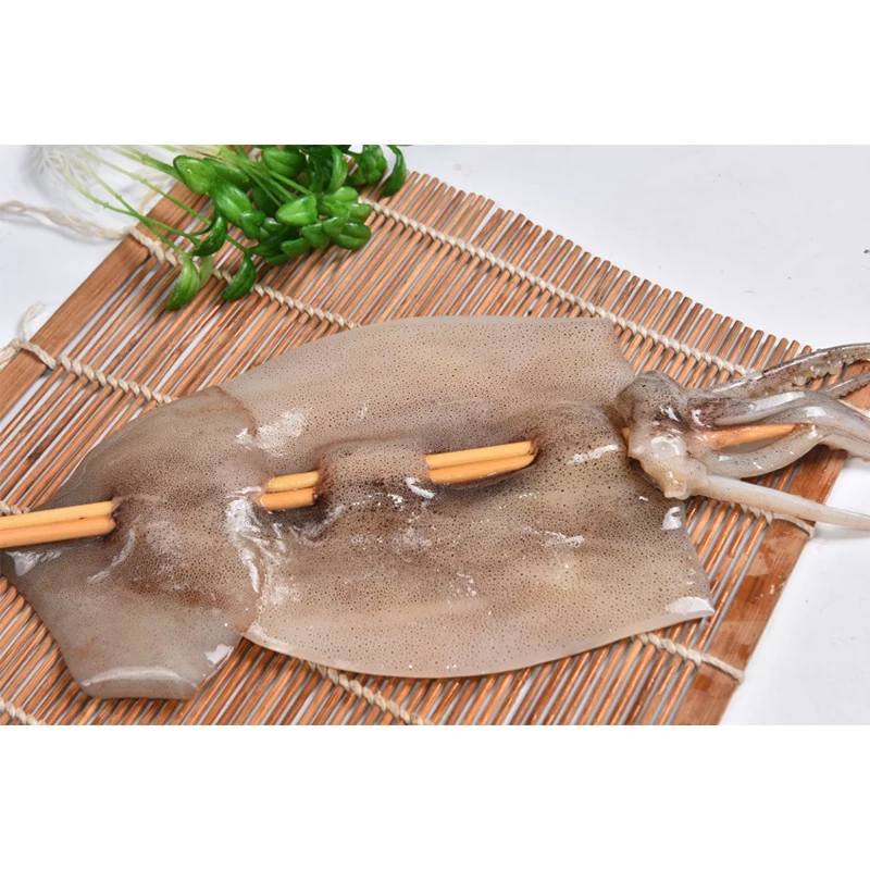 Exported Good Quality Top Fresh Illex Squid Frozen Seafood Export Argentina Squid