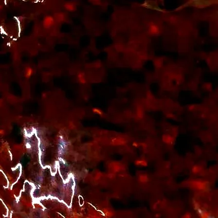 
FHB120 mala seasoning hotpot condiment malaliao mala sauce very spicy sichuan chongqing local base material similar to hot pot 