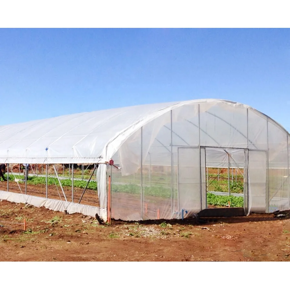 Промышленная пеньковая теплица, сельскохозяйственная Однопролетная туннельная пленка, поликарбонатная теплица