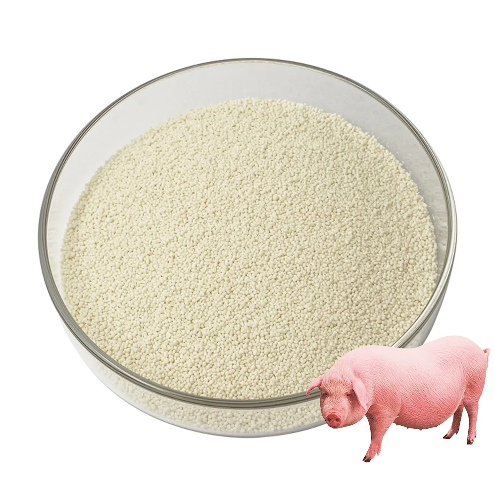 Reduce Feed Cost em-friendly Thermostable and Acid-resistant Phytase Enzyme for Animal Feed