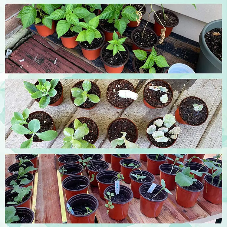 100mm top diameter 70mm bottom diameter 90mm height Plastic Plant Double Color Flower Pots