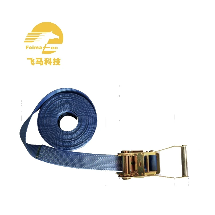 Manufacturer Price High Safety Polyester Ratchet Tree Ratchet Tie Down For Carrying Tools