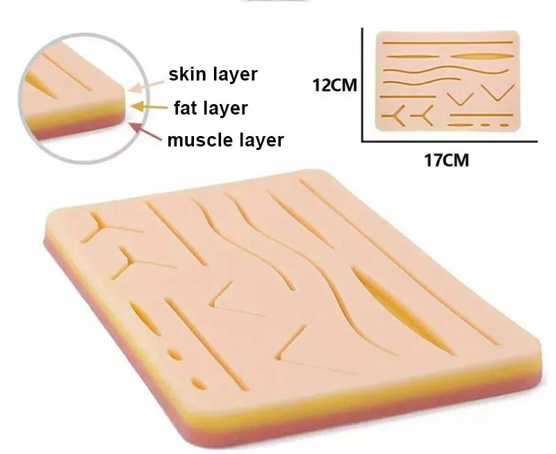 Обучающие ресурсы медицинская научная анатомия хирургия кожа человека силиконовая тренировочная шовная подушечка с
