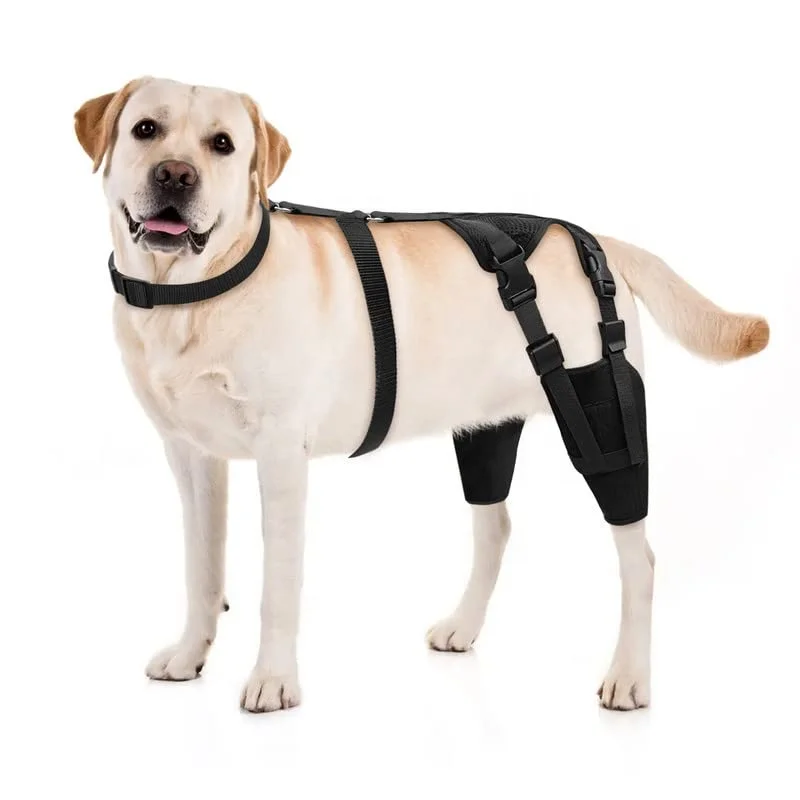 Customize Logo Adjustable Canine Torn ACL Recovery Pet Knee Support Hind Leg Dog Knee Brace With Harness And Connection Belt