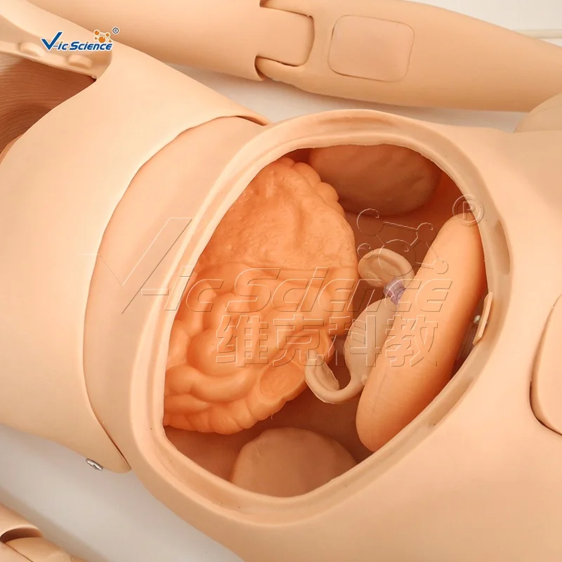 Медсестра Подготовки манекена медсестра женский кукла медсестры модель обучения