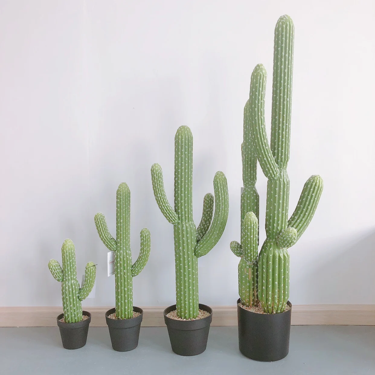 Внесите зеленое пустынное растение в свой дом, естественный вид, суккуленты в горшке, искусственный кактус