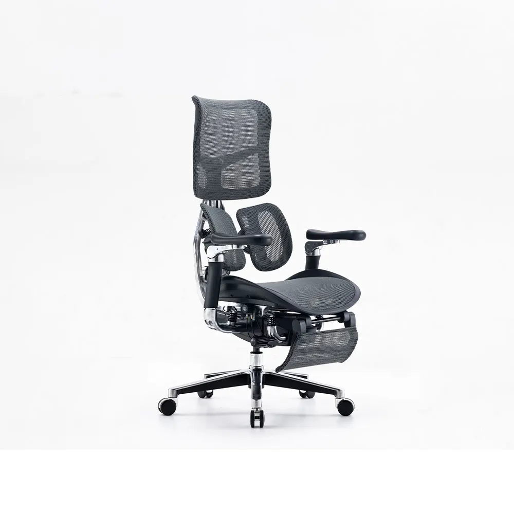 Sihoo AU-1 Luxury Adjustable Full Mesh Office Chairs High Back Executive Office Chair