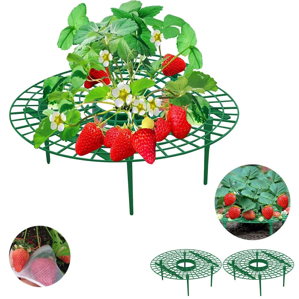 Adjustable Plastic Adjustable Strawberry Supports Stand Strawberry Growing Racks