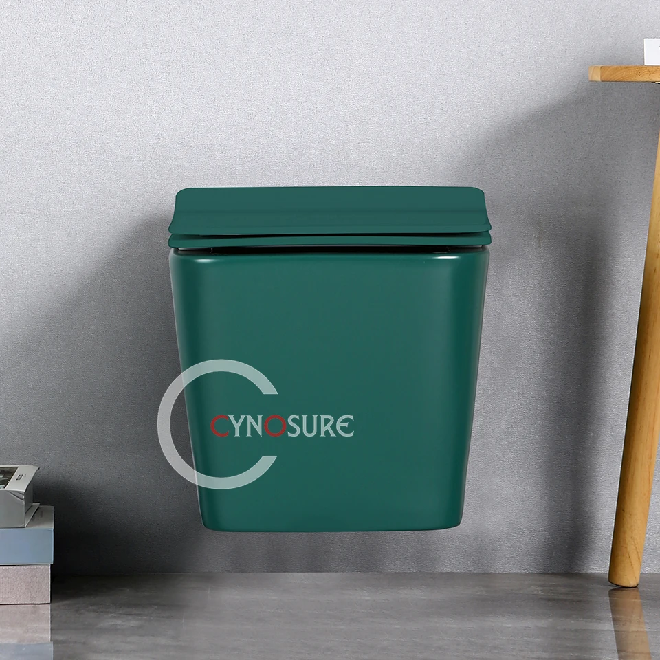 Wall Hang Toilet Installation Matte Dark Green Rimless Back To Wall Toilets Bathroom Ceramic Toilet Bowl