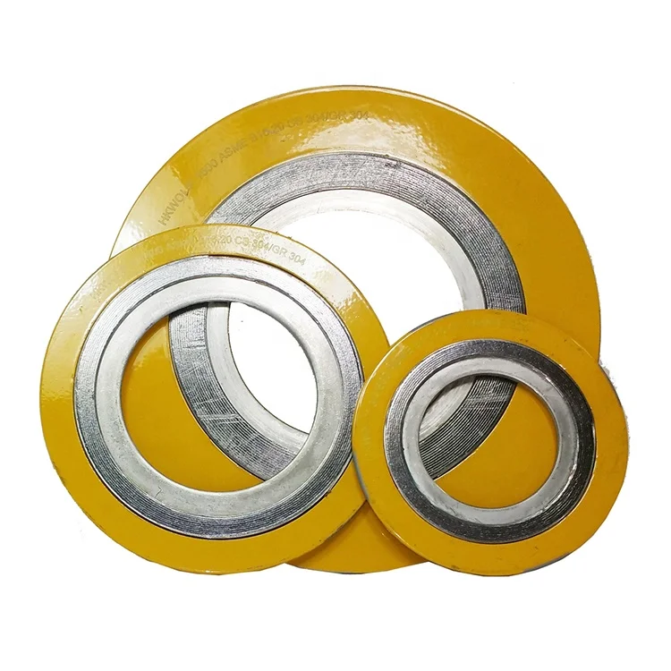 Stainless Steel 316 Flange Gasket with Outer Ring