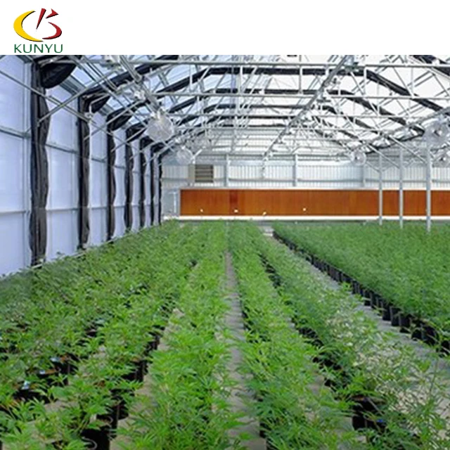 KY Thailand Project 100% Blackout System Medical Plant Hemp Polycarbonate Blackout Greenhouse For Hemp Planting