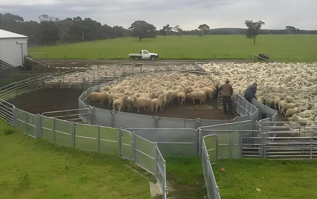 Low Price High Quality China Cattle Horse Sheep Stockyard Fence Panel