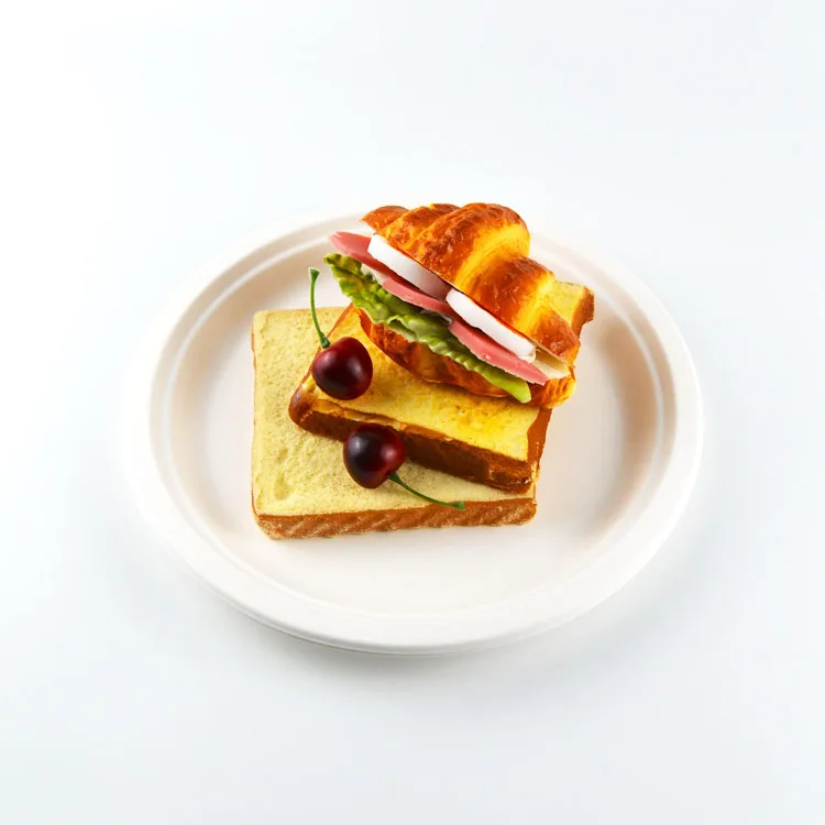 Food Grade Biodegradable Disposable Tableware Products Sugarcane Bagasse Plates