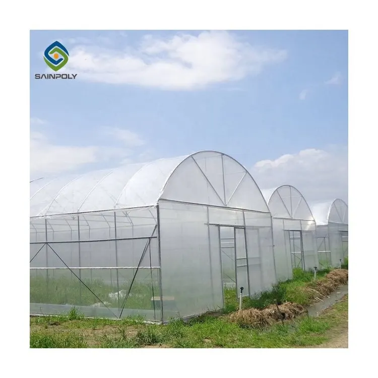 Galvanized steel frame luxury geodesic dome tunnel greenhouse greenhouse manufacturers used for sale