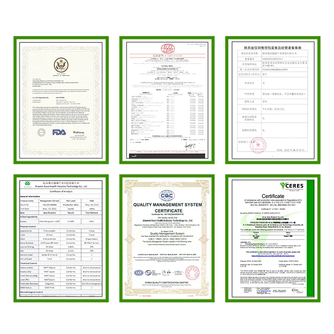 AUVO  OEM Factory Supply 98% Dried Apricot Fruit extract Powder Natural 	10:1 apricot fruit powder