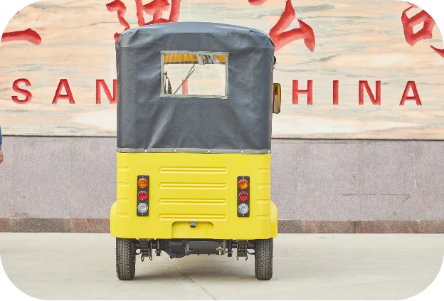 Electric Motorized Tricycles For Adults Three Wheel Bicycle With Open Body Mini Tuk Tuk