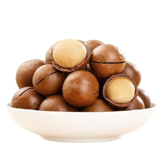 best selling South Africa Rich nutrition Various size roasted macadamia nuts for sale (1600346514189)