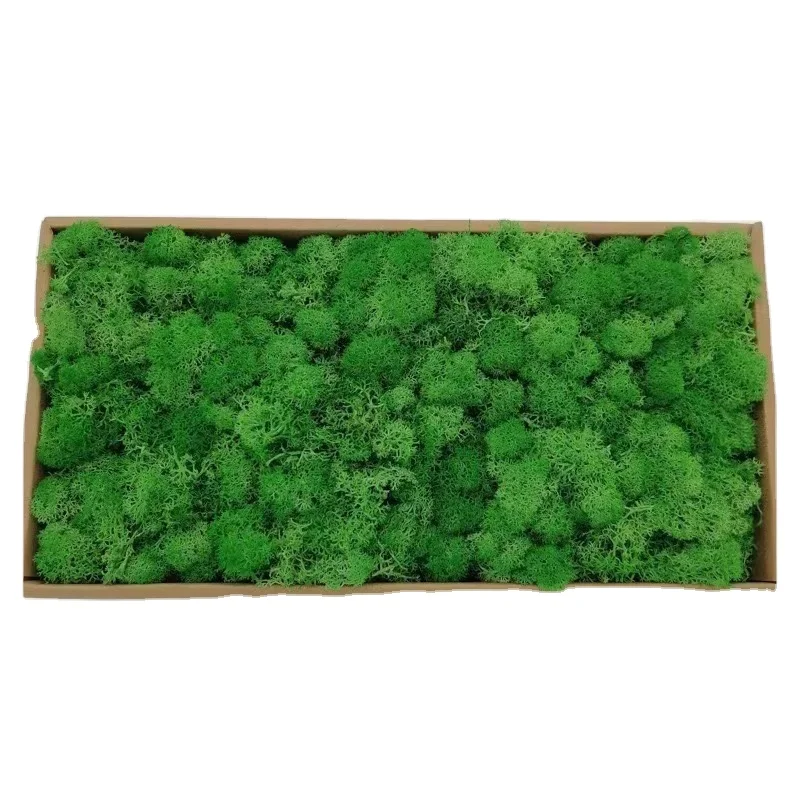 Artificial Moss Faux Natural Fresh Green Moss Decorativeffor Preserved Eternal Moss Decorative Home Garden