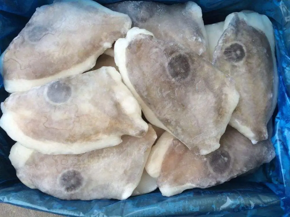 Frozen John Dory Fillet China Origin