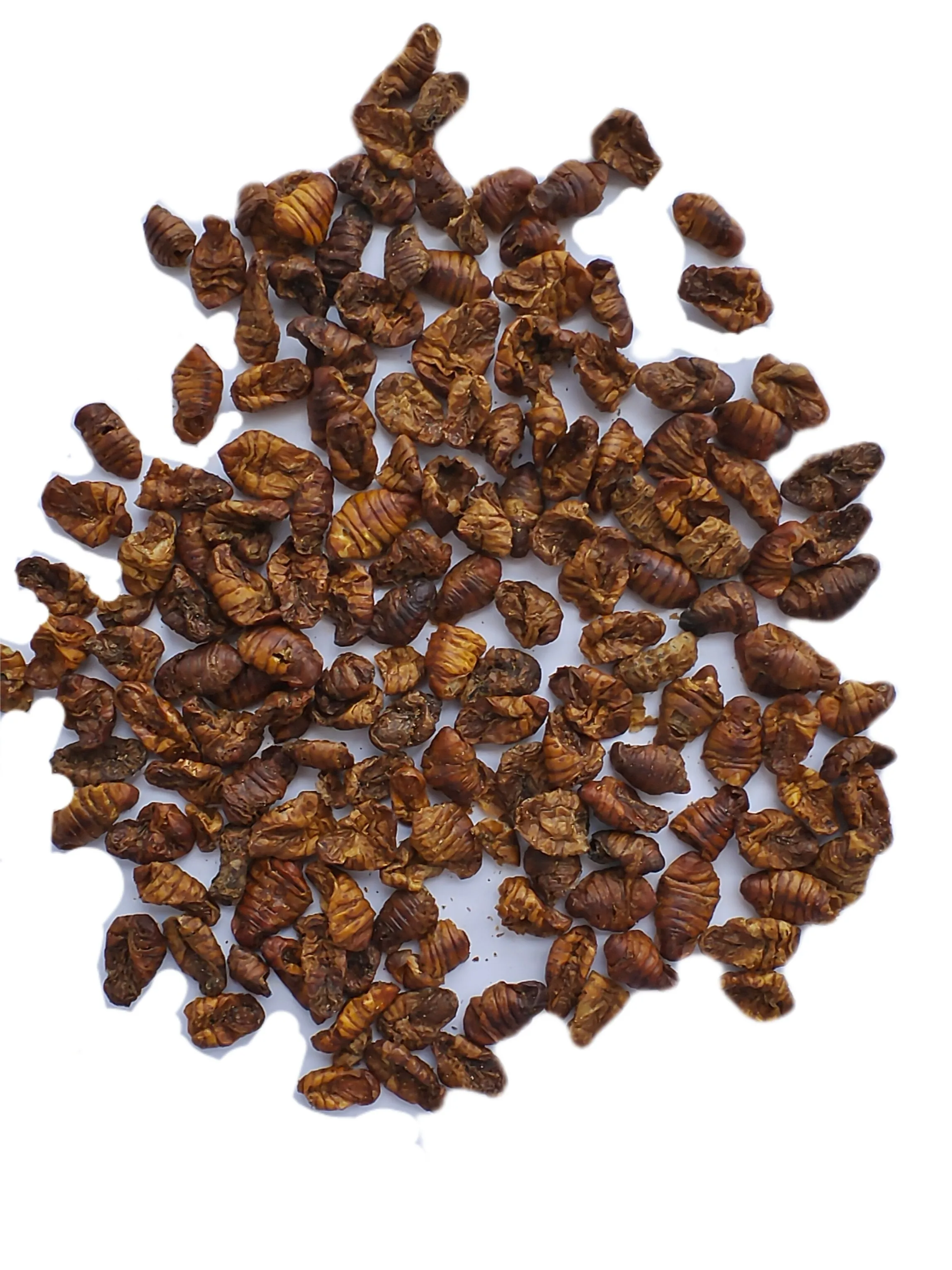 High-Protein Dry Food for Birds and Small Animals Pretty Pet Food with Dried Silkworms Fish Food High mealworms dried