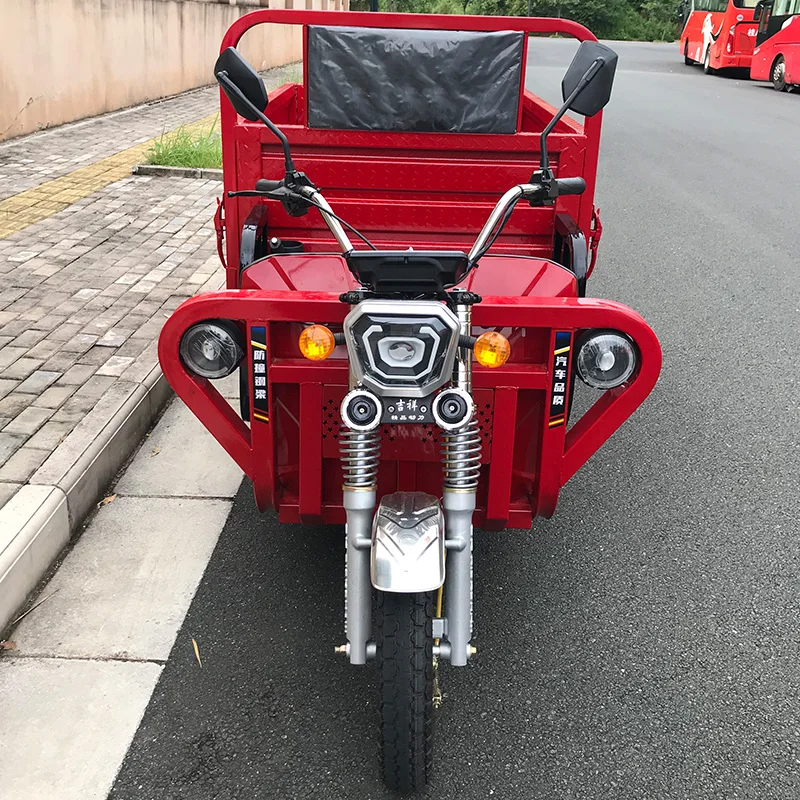 Factory Price 3-Wheel Electric Tricycle for Adults 48v Steel and Iron Motor Trike with CE Certificate for Loading