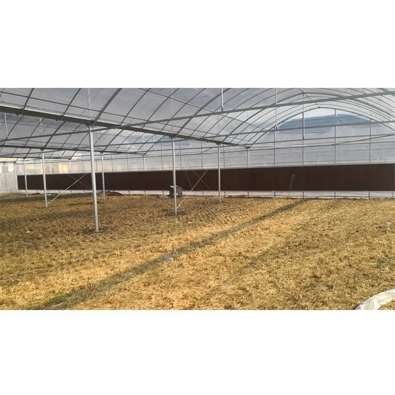 200 micron double layer plastic film  hydroponics growing system greenhouse